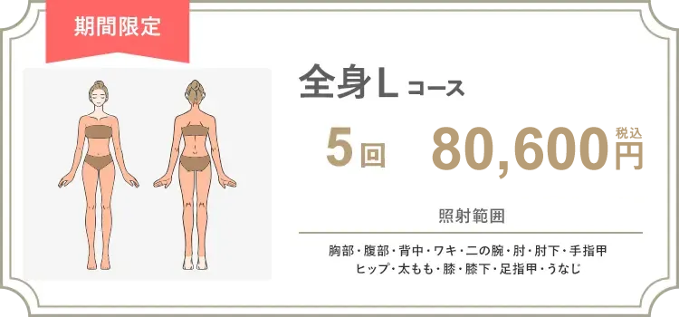 【女性】全身L 5回 89,000円（税抜） 