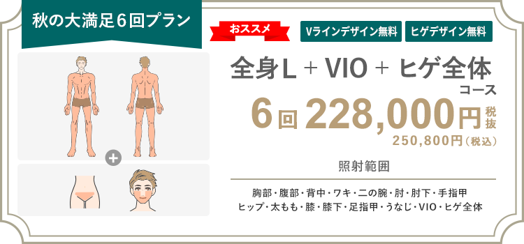 【男性】全身L + VIO + ヒゲ全体 6回 228,000円（税抜）