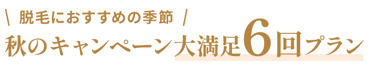 秋のキャンペーン大満足6回プラン