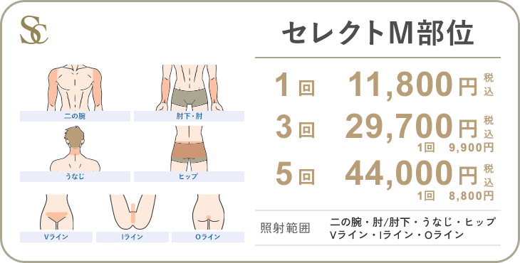 セレクトM部位