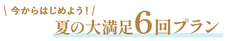 夏の大満足6回プラン