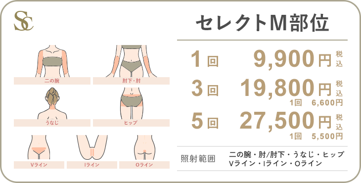 セレクトM部位